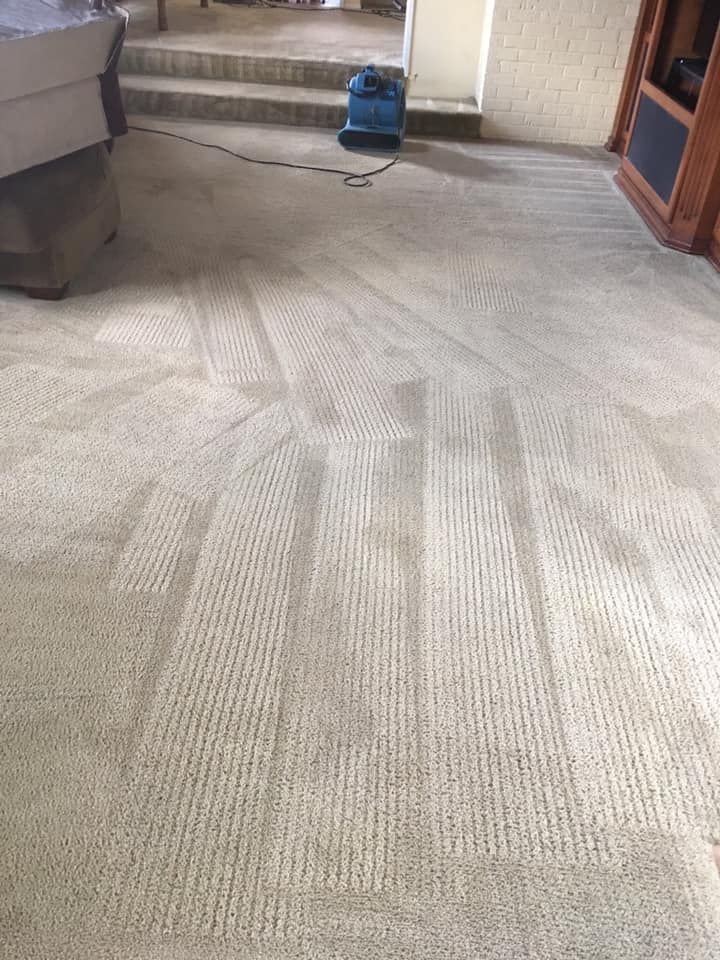 About Moctezuma Carpet Care