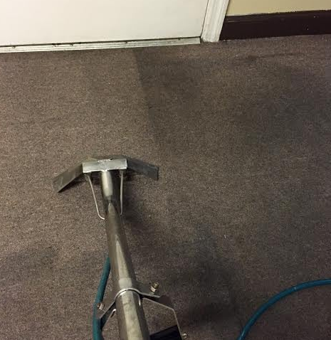 Moctezuma Carpet Care gallery photo