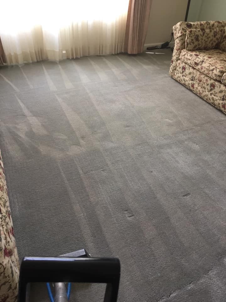 Moctezuma Carpet Care gallery photo